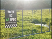 Screenshot 2025 08 19 at 3.28.52PM